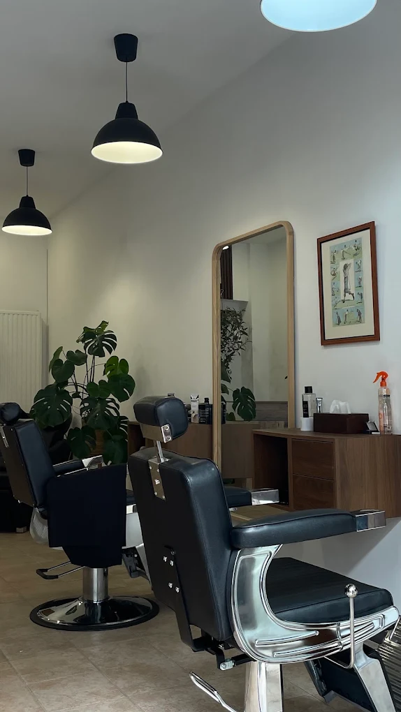 Fauteuils barbier et plante monstera